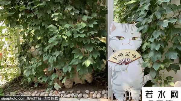 故宫博物院卖萌