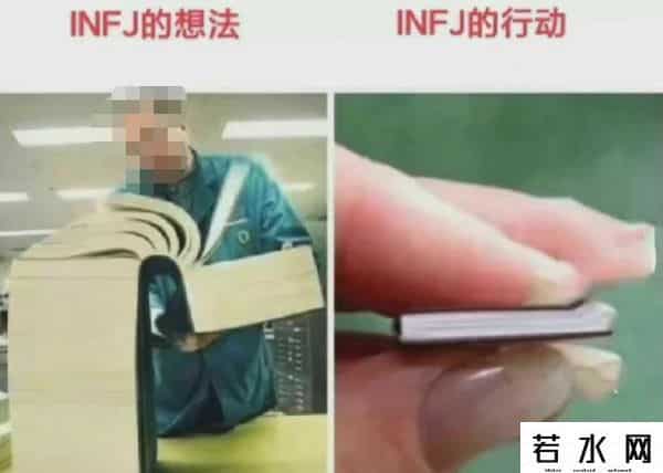 MBTI什么网络用语