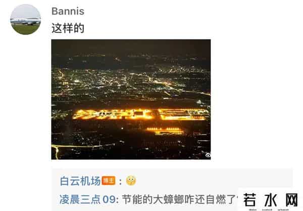 广东最大的蟑螂是白云机场
