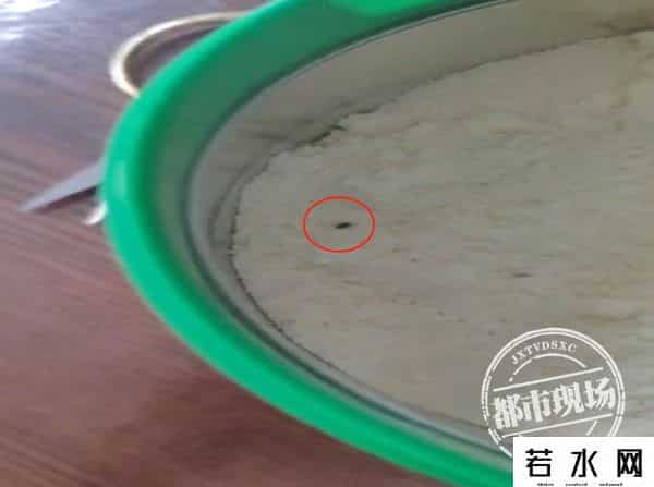 奶粉里吃出活虫