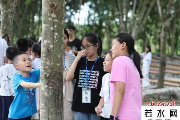 驯化成乳胶娃娃