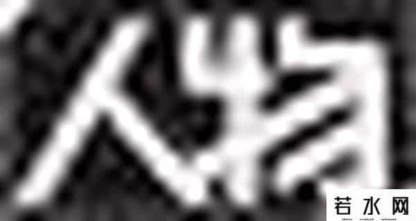 罗振宇人物简介