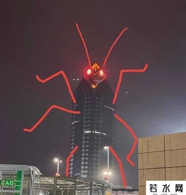 广东最大的蟑螂是白云机场