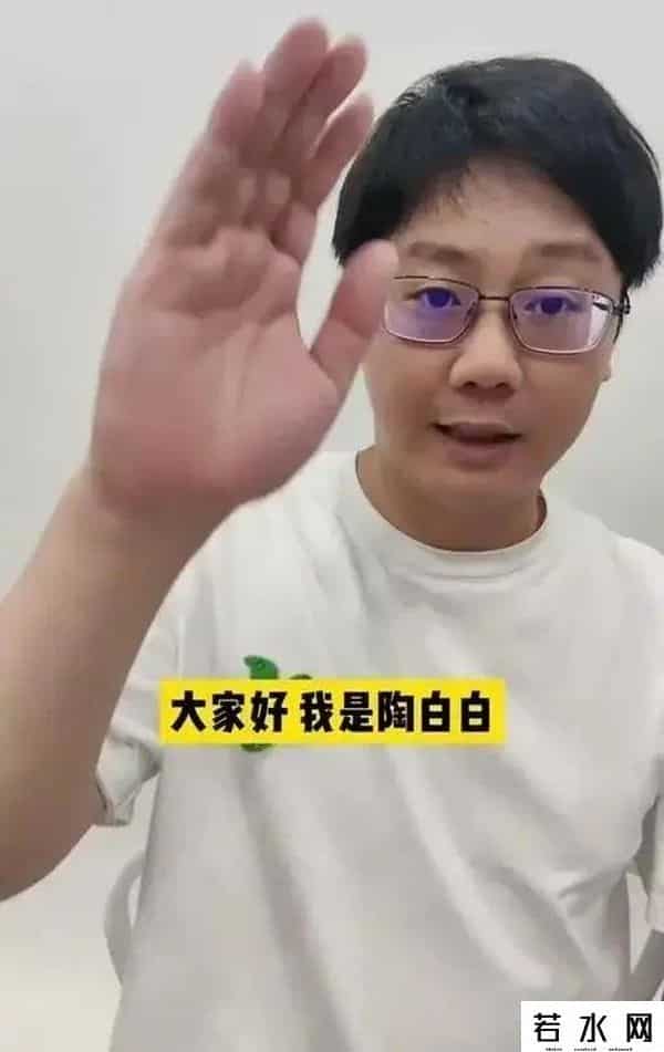 陶白白是一个什么梗