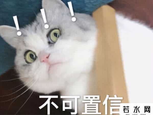 洛克王国100级的号和密码真的