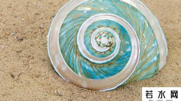 世界上最稀有的颜色