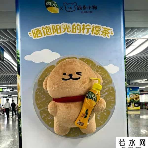 明星代言平面广告