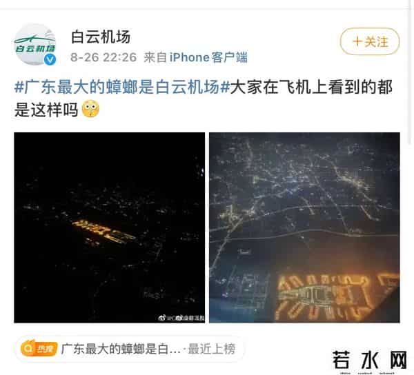 广东最大的蟑螂是白云机场