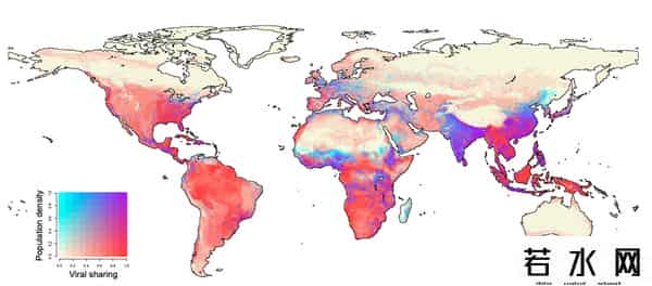 气候变暖成人畜共患病传播主因