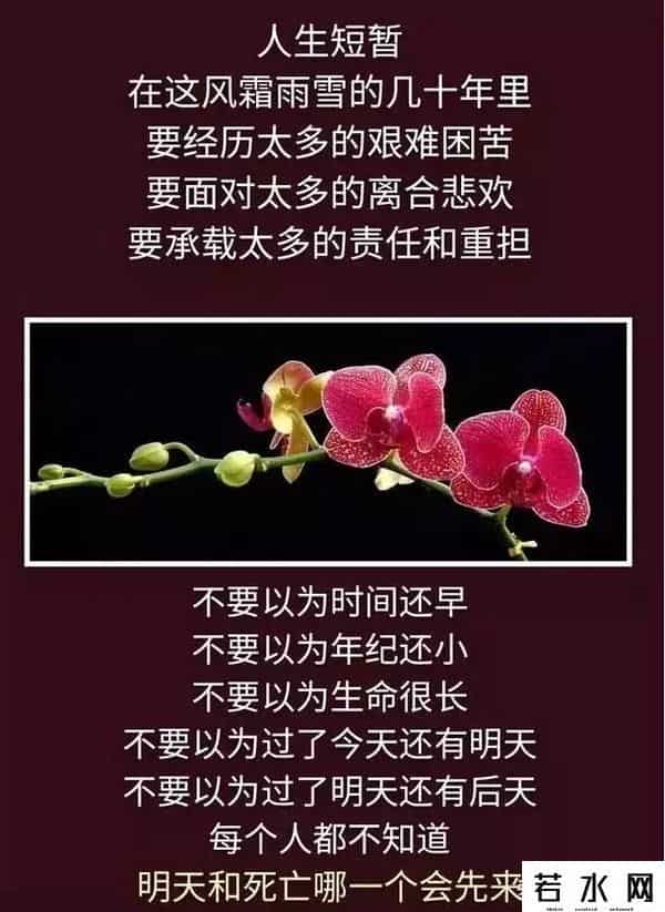 昨天的你的现在的未来