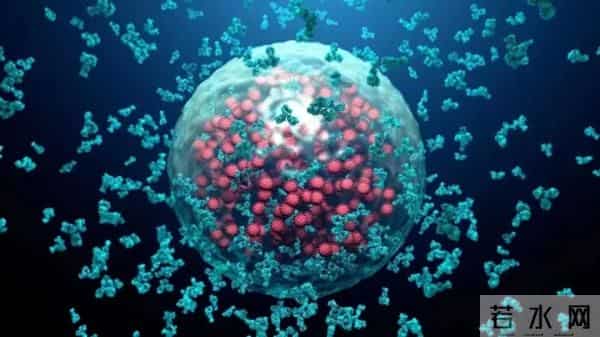 首例奥密克戎变异株ba.5输入上海