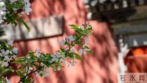 孙女中秋远嫁 爷爷抓着手泪流满面