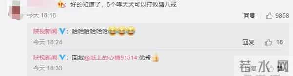 野猪大闹驾校被5只狗打败