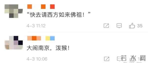 南京人看到泼猴请立即报告