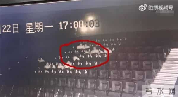 警方谈女子影院被踹伤