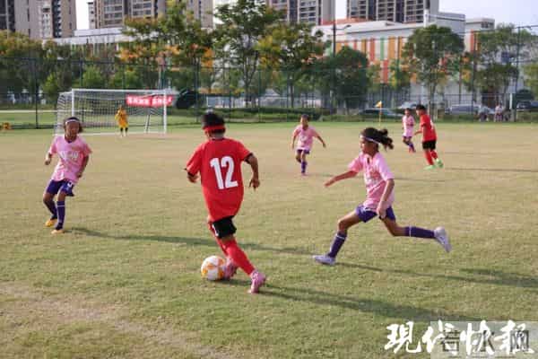 南京小学生被砸