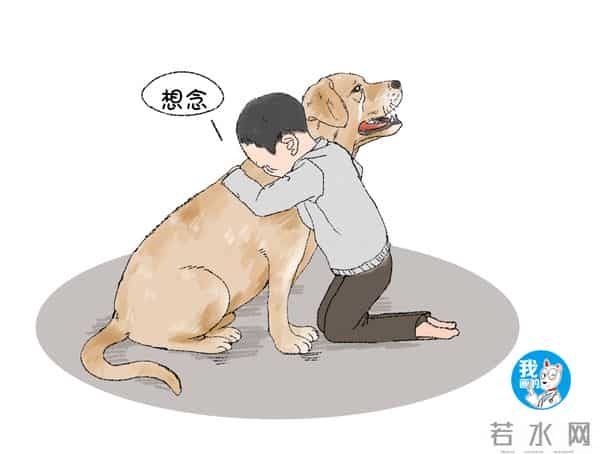 土狗被扔50公里外一星期后跑回家