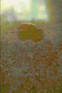 大妈跳广场舞把孩子栓栏杆上