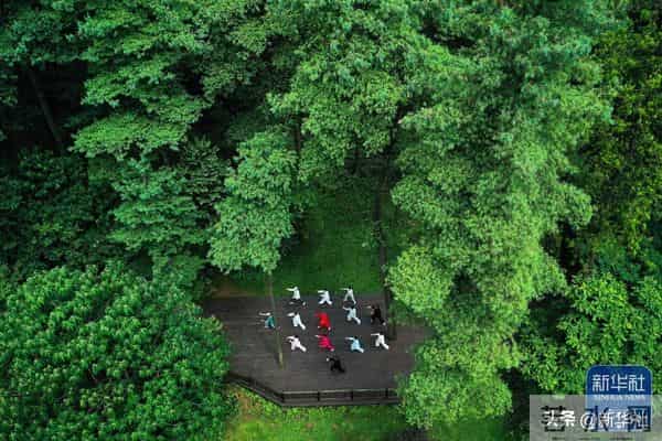 四川乐山大佛脚下河床裸露