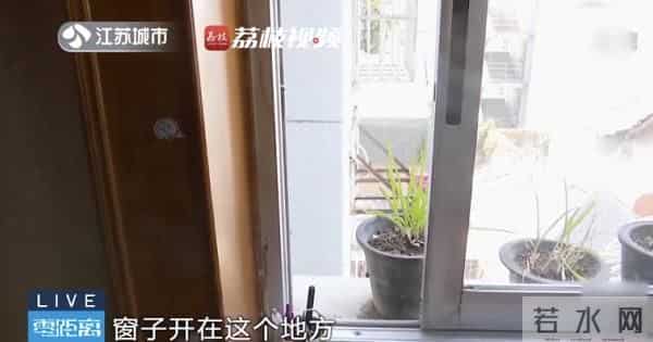 南京人看到泼猴请立即报告