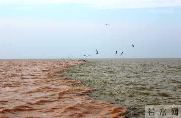 山东景区霸气公告-看不到景观退款