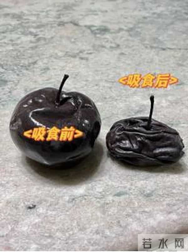 南方人一来东北冻梨都开始摆盘了