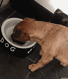 大妈跳广场舞把孩子栓栏杆上