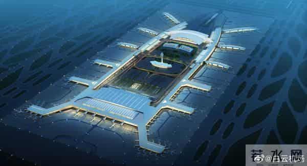 白云机场是最大蟑螂