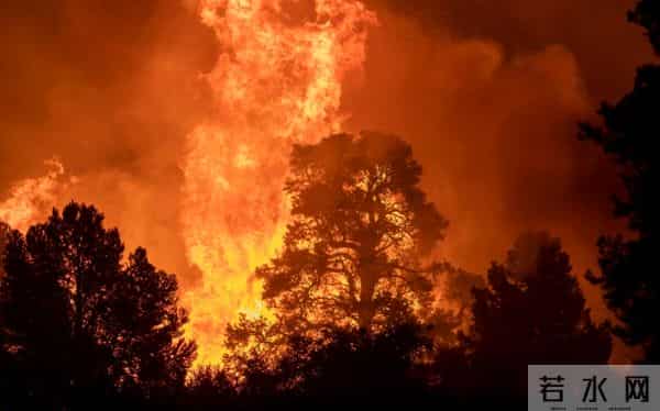 山火救援：女娃不上 20岁以下不上