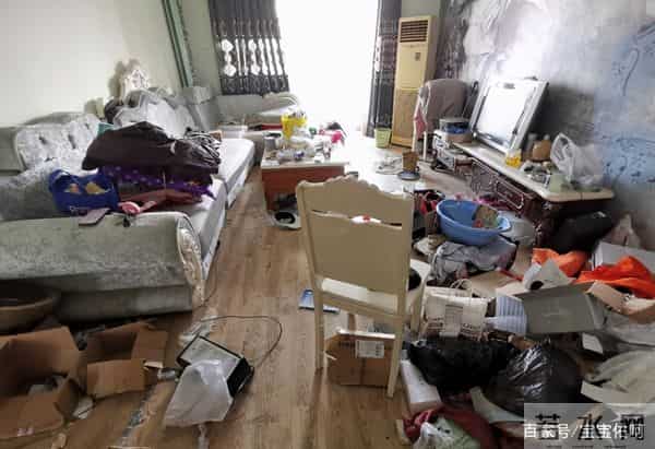 女子隔离留守二哈把婚房拆了