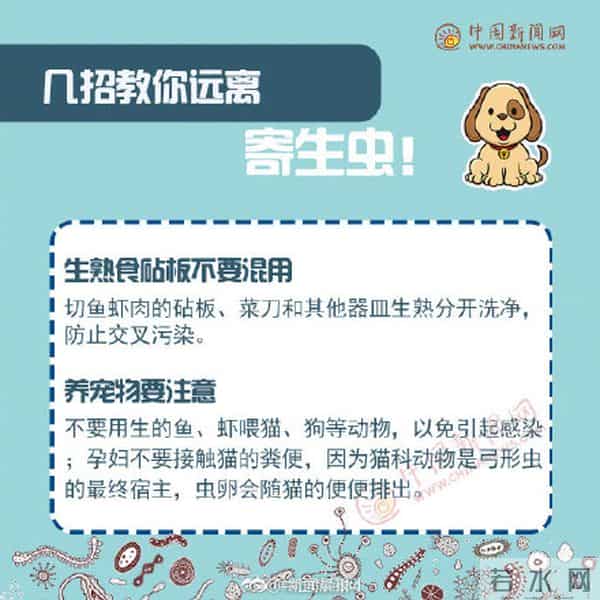 女子瘦20斤脑内取出27厘米长活虫