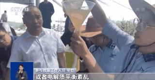 鲸类为何频繁搁浅-专家解读