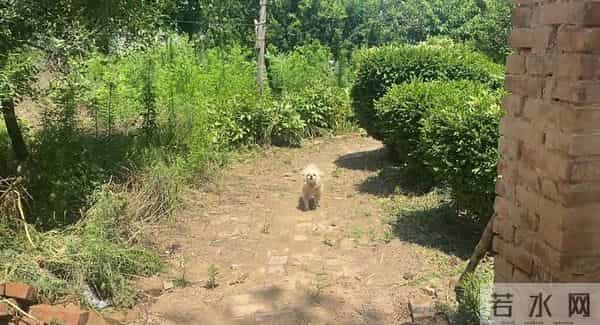 孙女帮八旬爷爷实现零食自由