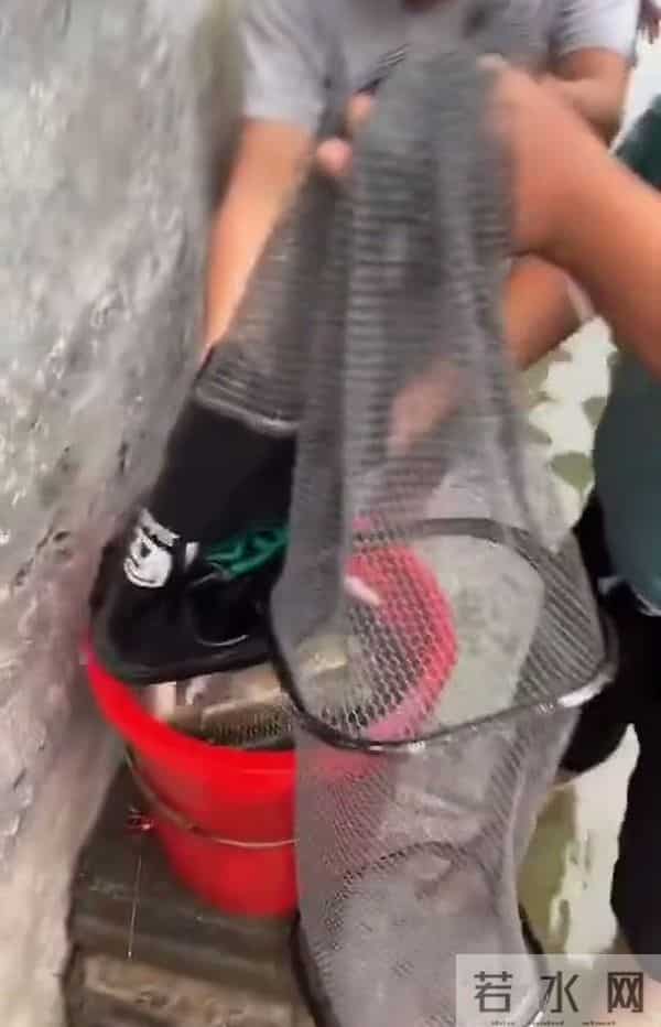 广东暴雨积水成河 有人屋内钓鱼