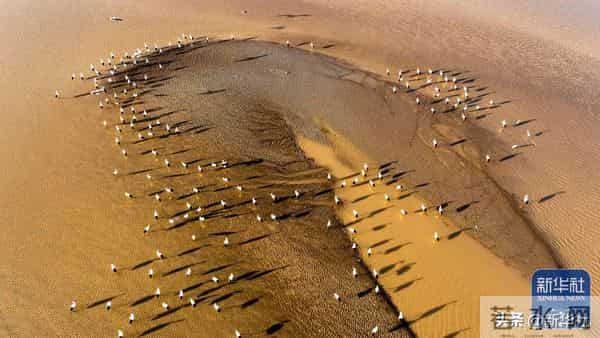 四川乐山大佛脚下河床裸露