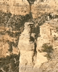 大妈跳广场舞把孩子栓栏杆上