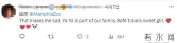 大熊猫丫丫回国进入倒计时