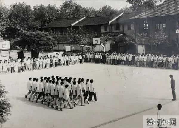 老伴走后第2天浙大老教师又去捡垃圾