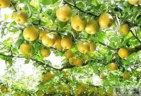 郑徐高铁正式开通