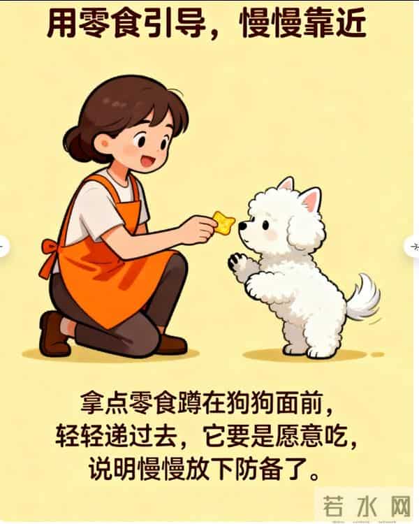 3斤小狗舔5斤大鱼被鱼尾抽翻