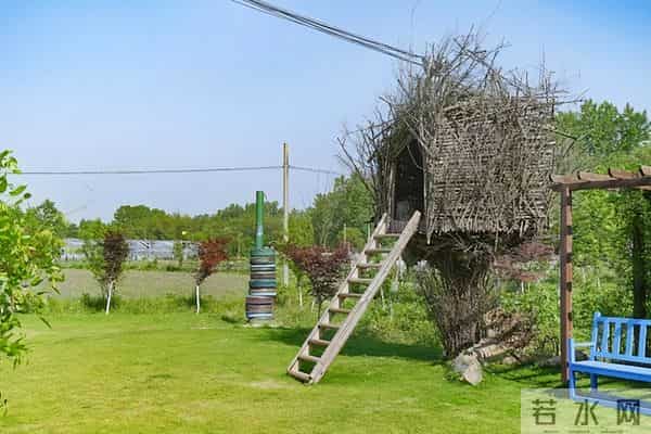 女子种地老公辞职支持