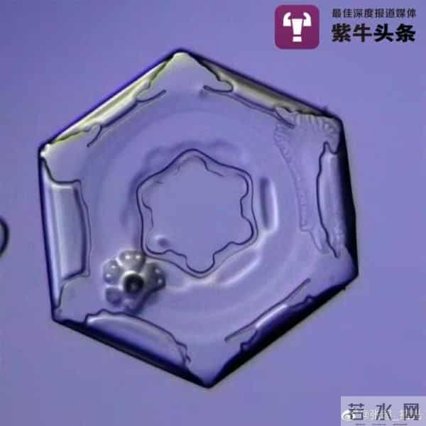 北京的雪 显微镜100倍拍摄