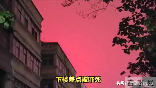 地震局回应河南燕子满天飞