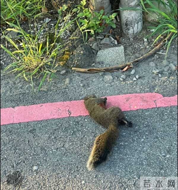 台湾取消大陆赴台旅客核检