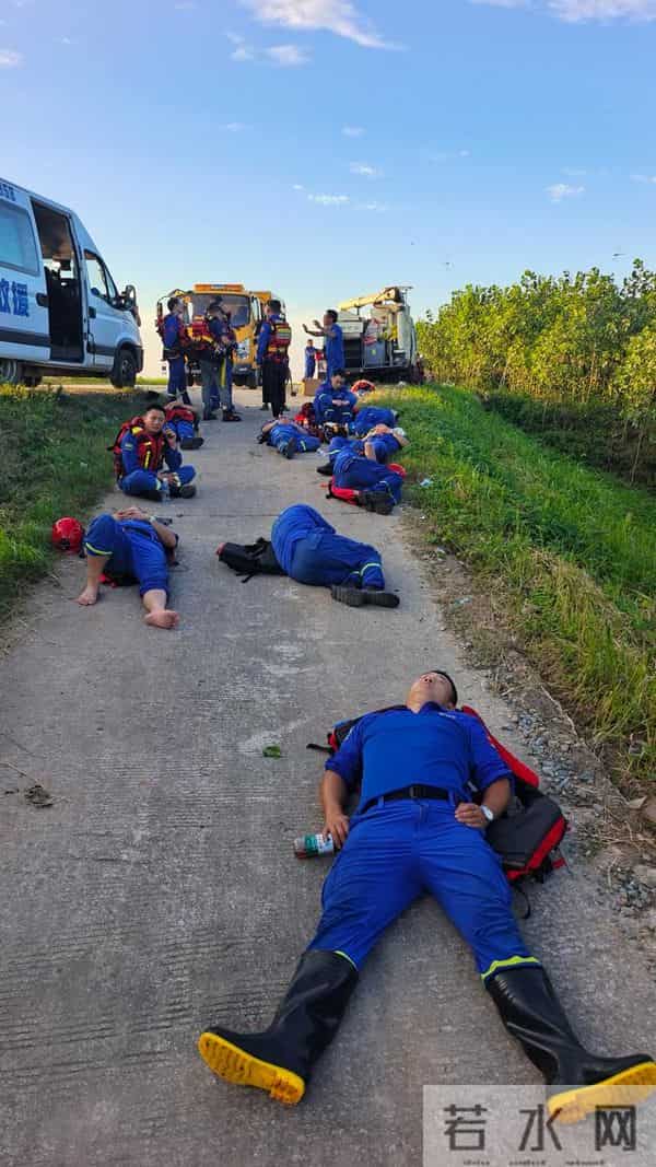 洞庭湖决堤后动物们水中求生
