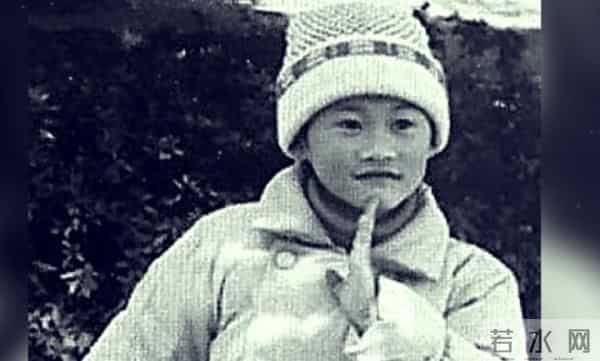 陈雨菲 我预判了你的预判