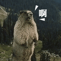 刘洲成被曝出轨