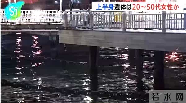 日本近海出现密密麻麻鱼类尸体