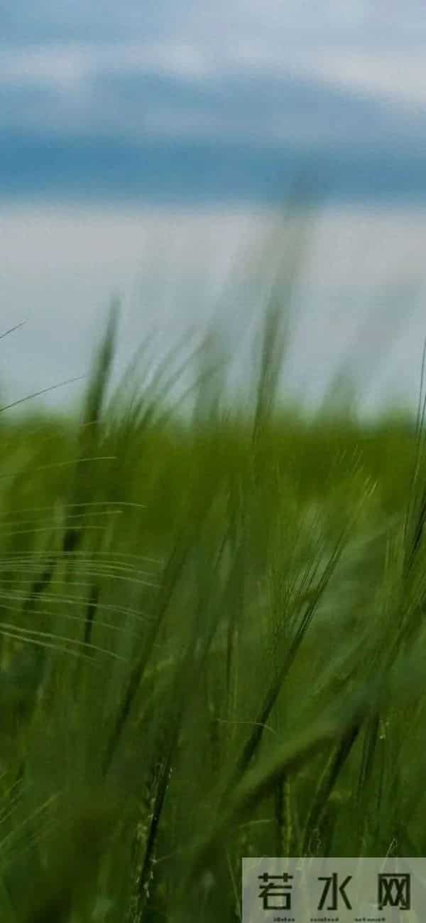 行驶中小车后备箱塞人露双脚