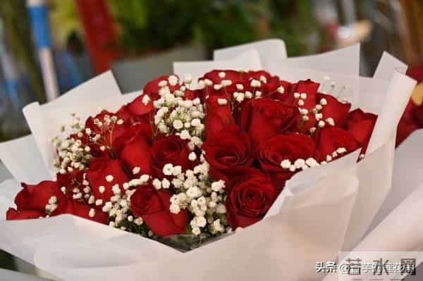 七朵玫瑰代表什么